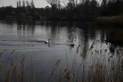 DSC_6895 (Large).JPG